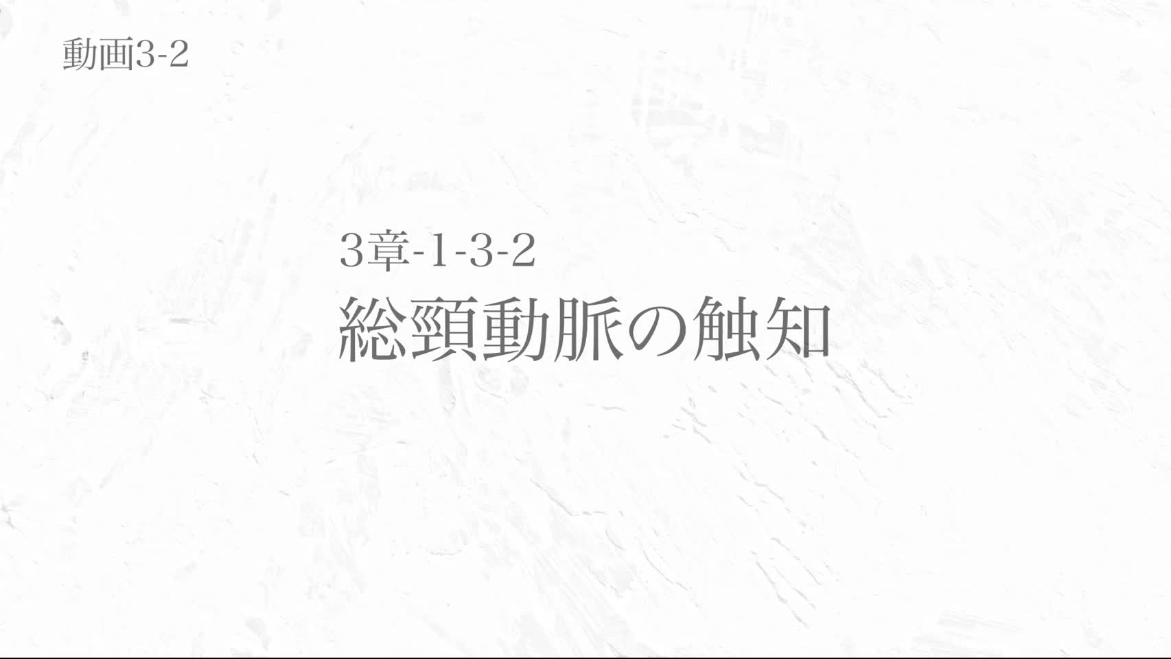 動画3-2 総頸動脈の触知