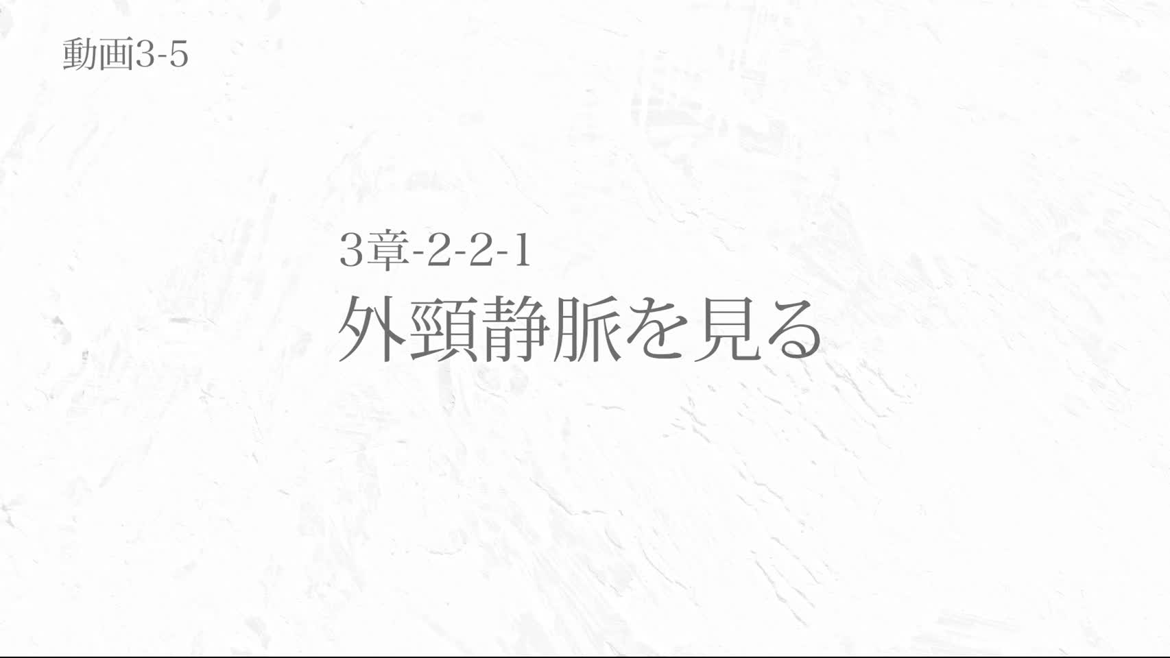 動画3-5 外頸静脈を見る